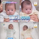 쌍둥이 이미지