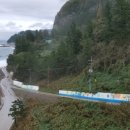 나리관광펜션 이미지