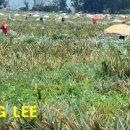 상상농장2 이미지