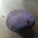 푸른들농장 이미지