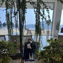 할로브리즈 이미지