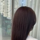봄;보다 헤어살롱