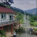 샘물하얀집 이미지