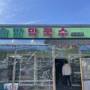 인제오락실 | 강원도 인제 숨겨진 막국수맛집 솔밭막국수 후기