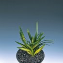 신안군민체육관 체육관 이미지