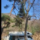 고카프 : 모두의 캠핑카&캠지기 이벤트 1등 당첨후기! 캠핑카를 타다