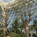 식물원 정자옆 | [서울 여행] 도심 속 초록 힐링, '서울 식물원' 온실부터 주제정원까지 완벽 정복! 🌱