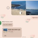 무우수홀리데이 | 제주 11월 일상