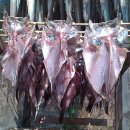 신도펜션 이미지