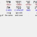 베게드 이미지