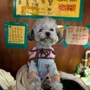 부광사진관 이미지