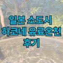 희망온천 | 일본소도시 하코네 유료온천 당일치기 신혼여행 후기