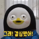 양가돈 | 양가 부모님께 칭찬받은 상견례 선물 '도라지정과', 내돈내산 후기.