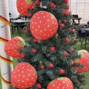 해마루 | 포천 딸기농장 추천 해마루딸기농원 내돈내산 대만족 후기