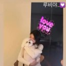 펫데이트 이미지