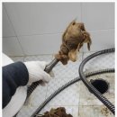 서초대로 55_ 이미지