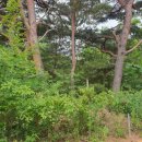 마망펜션 이미지