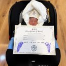 자연솜씨 이대서울병원 | 병원 엄마아기병원 84병동 2인실, 94병동 VIP 1인실 병실 이용후기, 이대서울병원 신생아실 퇴원 시 절차