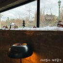 푸르곤 제주 애월 카페 <b>푸르곤</b> 애견동반 가능한 곳