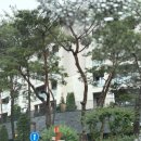 선우디테크주 | 서울 도심 속 힐링 호캉스 5성급 안토 리조트 팀버 스위트룸 객실 후기 부대시설 정보