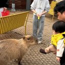 명월다락 이미지