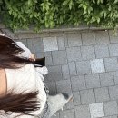 블루당구클럽 | 대전 신세계 블루 버터플라이 반미 후기 / 어버이날 카네이션 화분 추천 / 담가화로구이 큐브눈꽃살...