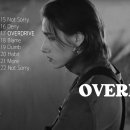 OVERDRIVE 원클릭 (230623.ver) 이미지