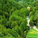 대전문화예술단지 이미지