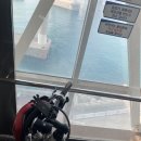[국토종주] 낙동강 자전거길 도전! (낙동강 하둣국-달성보)