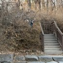 북서울꿈의숲(라포레스타) 이미지