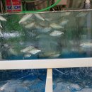 덕산초교 옆 이미지