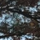 위드치과보철과의원 이미지