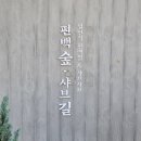 계룡산편백숲입구 이미지