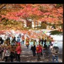 피아골단풍민박 이미지