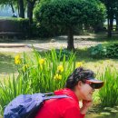 호수공원14로 Daum카페