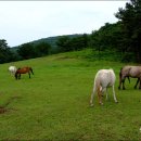 지경목장 이미지