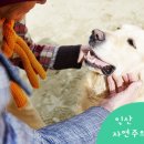 익산플러스약국 이미지