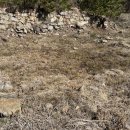 백련암지 이미지