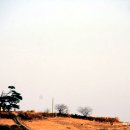 소나무풍경 - 김포시 | 소나무풍경