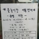 망상오토캠핑리조트 제2오토캠핑장 | 동해 망상오토캠핑장 부대시설 정리 | 매점, 카페, 물놀이장, 맛집