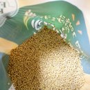 농부의 아침 | 농부의 아침 찰기장/찰기장 구매후기/내돈내산