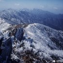 [울산안내산악회] 12월23일(토) 무주 덕유산 향적봉 눈꽃산행 블랙야크100대명산 이미지