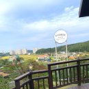 이놈애커피 | <강릉 한옥 카페> 이놈애 커피 ♥️ 강릉 야외 카페♥️ 다녀온 후기{내돈내산}