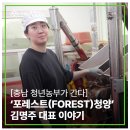 청년, Forest 이미지