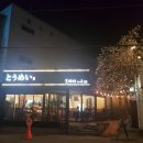동명동 토메이스시 &amp; 카페벨벳 방문후기