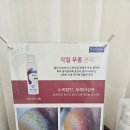 오브영