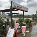 푸르곤 제주도 애월 카페 추천 <b>푸르곤</b>