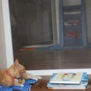 행복나루노인복지관 이미지