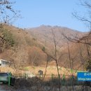 포곡농원 네이버블로그