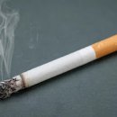 담배 니코틴 부작용 중독 | 흡연 행동이 반복되는 이유 이미지